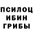 Псилоцибиновые грибы прущие грибы refusefntk