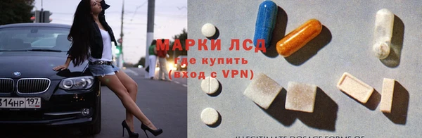 СК Алексин