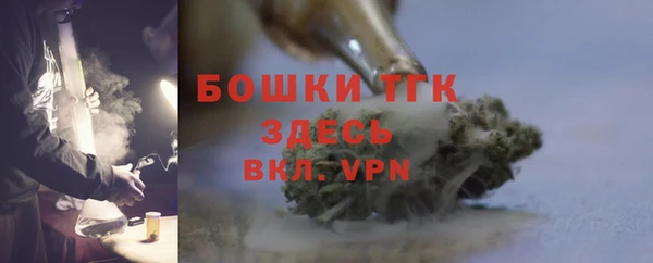 СК Алексин