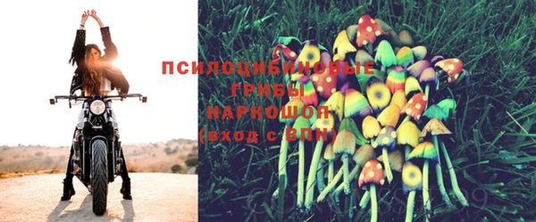 СК Алексин