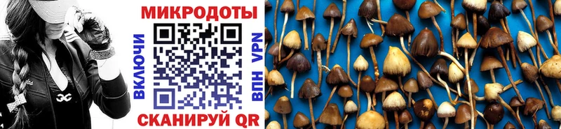 Псилоцибиновые грибы Magic Shrooms  Кинель 